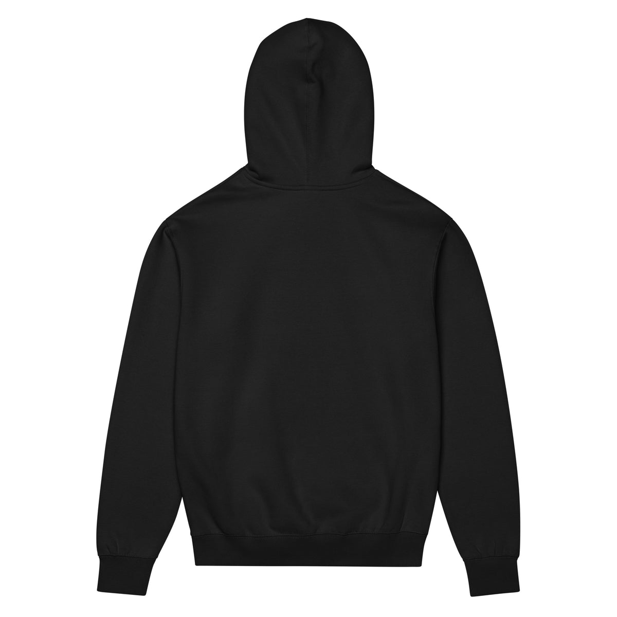 Game Day Hoodie
